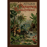 Wilkomm, Maurycy, Atlas państwa roślinnego zawierający 125 tablic kolorowych z 700 rysunkami roślin oraz liczne drzeworyty wśród tekstu szczegółowego